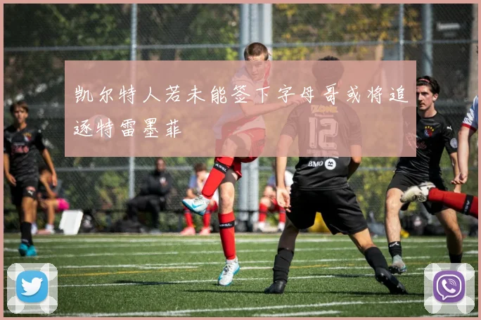 凯尔特人若未能签下字母哥或将追逐特雷墨菲